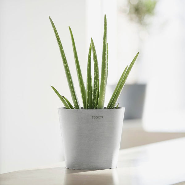 Ecopots Amsterdam Mini Pot White Grey