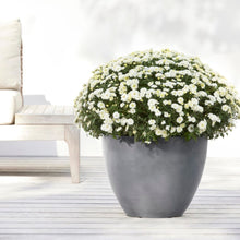 Ecopots Antwerp Grey