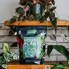 Westland Houseplant Potting Mix 4 Litres